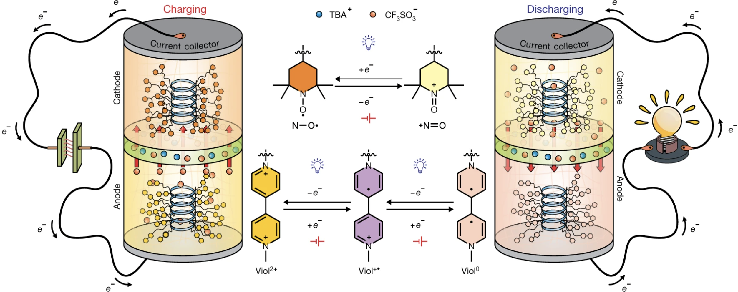 Schematic diagram illustrating the charging and discharging mechanisms of a photo-rechargeable electrochemical battery.